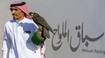 سباق الملواح يخطف الأنظار بانطلاقته الأولى في معرض الصقور والصيد السعودي 2025